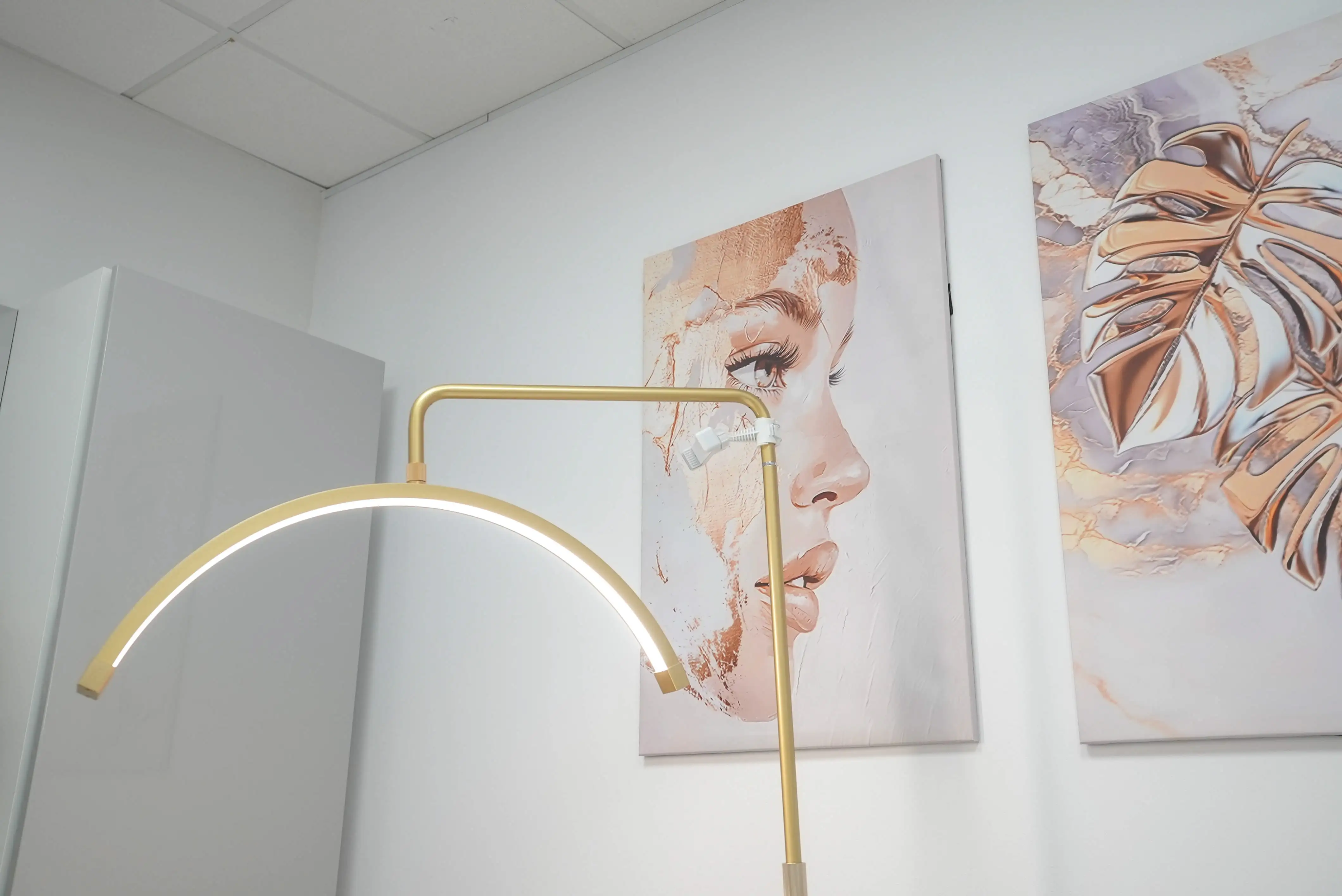 Beauty Light Art